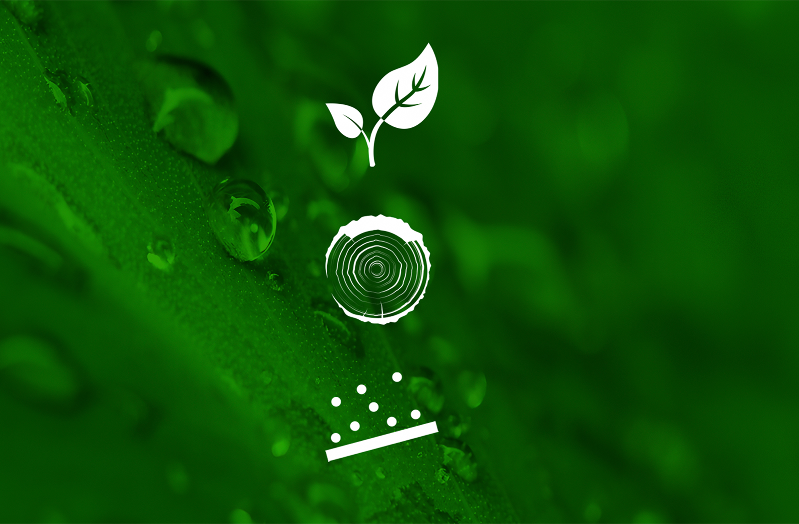 Green First